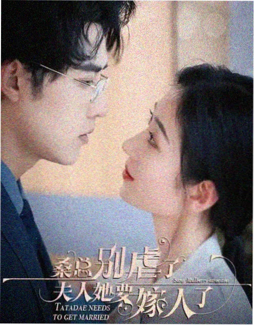 溜溜影视轻喜剧剧集第七次搬家封面海报